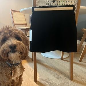 Aritizia Babaton Chisel Skirt